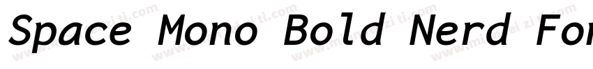 Space Mono Bold Nerd Font Complete字体转换